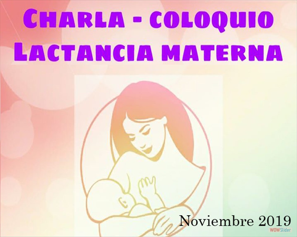 Charla Lactancia Materna Nov2019