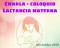 Charla Lactancia Materna Nov2019